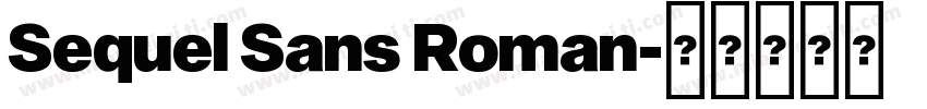 Sequel Sans Roman字体转换